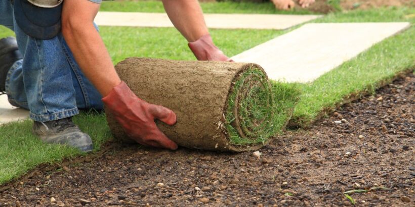 A man wearing blue jeans with knee pads laying out sod with turf grass for a new lawn with another man in the background.