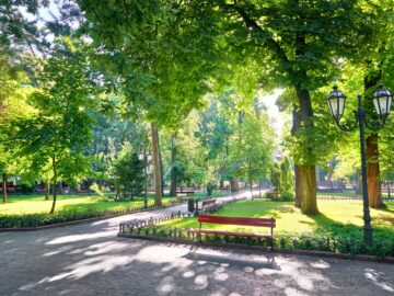 A beautiful, well-managed park with plenty of trees. Front and center sits a park bench and a lighting fixture.