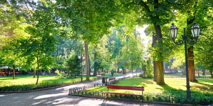 A beautiful, well-managed park with plenty of trees. Front and center sits a park bench and a lighting fixture.